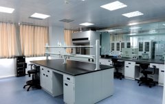 重庆实验室通风柜有效净化实验室环境